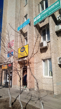 Спектра-Дент на Марии Максаковой, фото №1