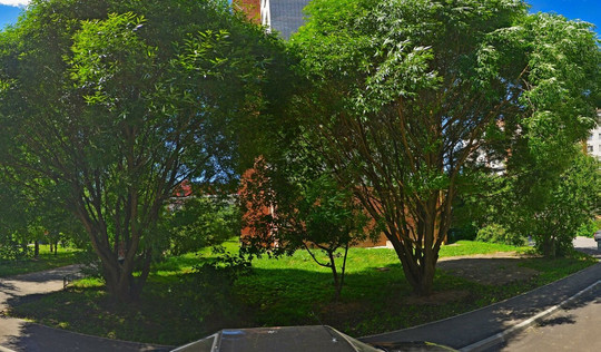 Олант на Ярославской, фото №1