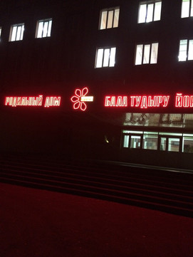 Роддом на Владимира Ленина, фото №1