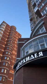 Орхидея на Университетской, фото №1