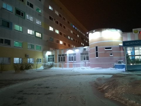 Перинатальный центр (Роддом в Медгородке), фото №1