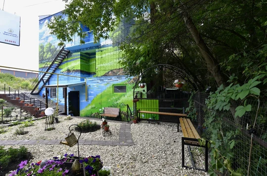 Реабилитационный центр Благо Дарю, фото №1