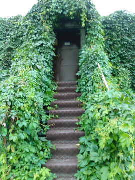 Мистер Зуб на Т. Фрунзе-Оловянка, фото №1