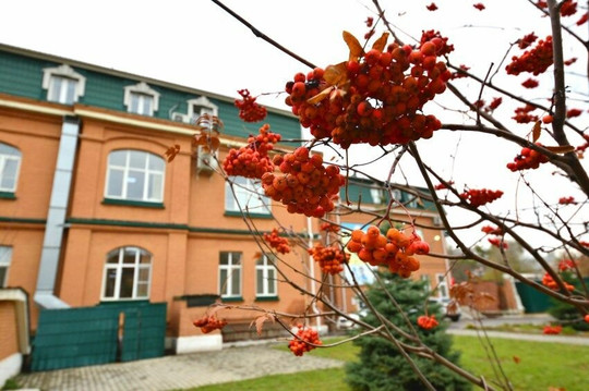 Роддом больницы №2 на 8 Марта, фото №1