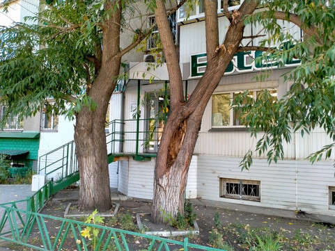 Эстет на Гагарина, фото №1