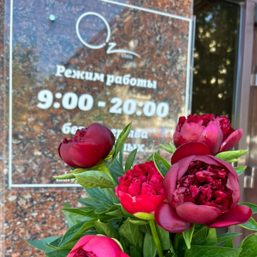 Косметология Oz Clinic, фото №1