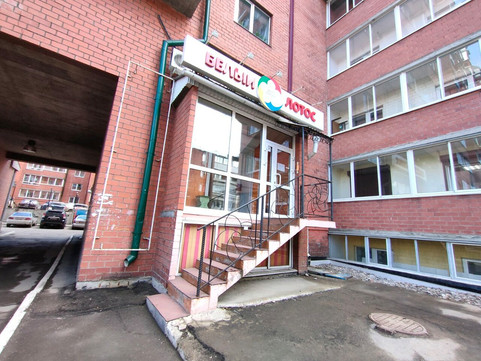 Белый лотос на Александра Невского, фото №1