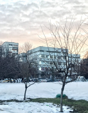 Детская городская поликлиника №98, фото №1