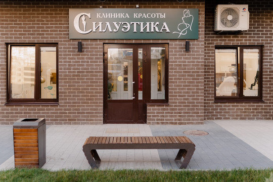 Силуэтика, фото №1