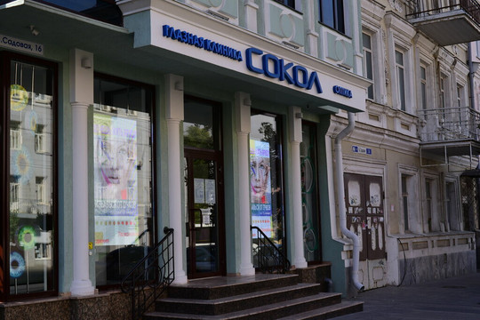 Сокол на Большой Садовой, фото №1