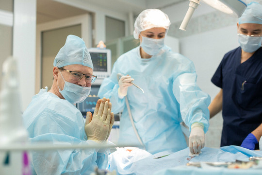 Дента Стиль на Пожалостина, фото №1