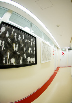 Чайка в Белых садах, фото №1