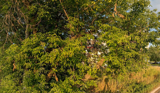 Евродент на Ленина, фото №1