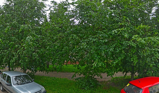 Хэлп на Козленской, фото №1