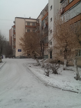 Диагрупп на Павлова, фото №1