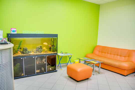 Сильвана клиник на Партизанской, фото №1