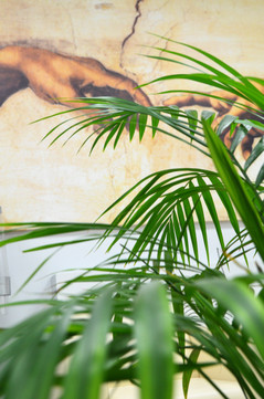 Стоматология DR.STOMA, фото №1