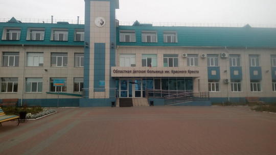 Областная детская больница Красного Креста на Конституции, фото №1