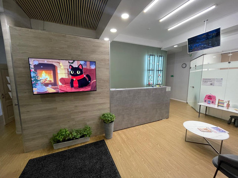 Новые возможности на Лыткина 9/5, фото №1