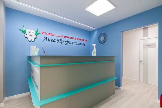 Лига Профессионалов на Атмосферной, фото №1