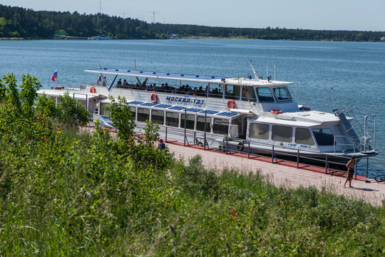 Пансионат Лесная сказка на Попова, фото №1