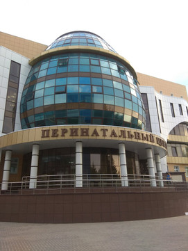 Перинатальный центр №2 на Губкина, фото №1