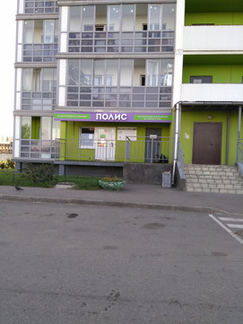 Полис на Московском, фото №1