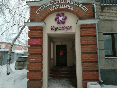 Крокус на Советской, фото №1