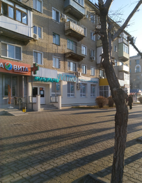 Инвитро на Ленина, фото №1