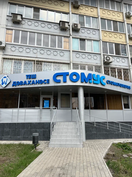 Стомус на Чистопольской, фото №1