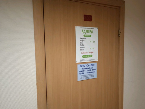 Адмира на 100-летия Владивостока, фото №1