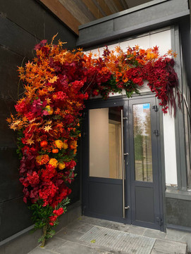 Стоматология Янины Дорофеевой, фото №1