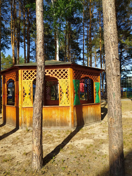 Областной реабилитационный центр Родник на Салаирском тракте, фото №1