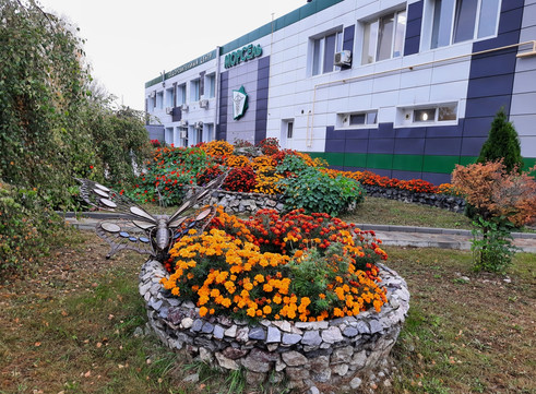 Клиника МОРСЕль, фото №1
