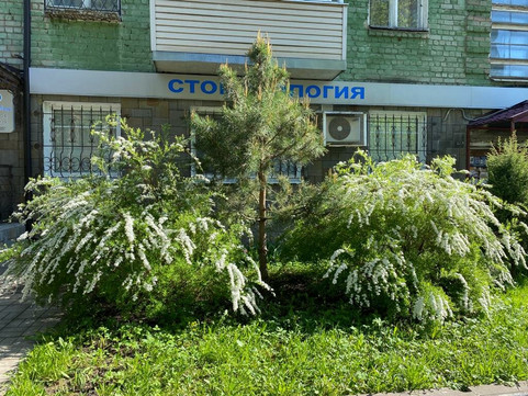 Вита-мед на Волжской набережной, фото №1