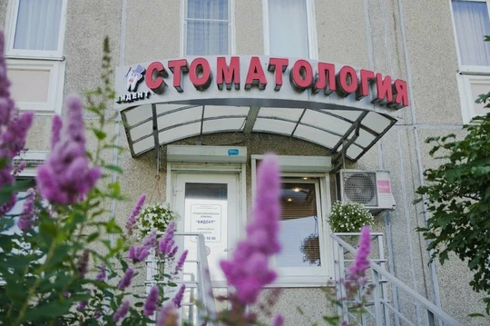 Видент в Сертолово, фото №1