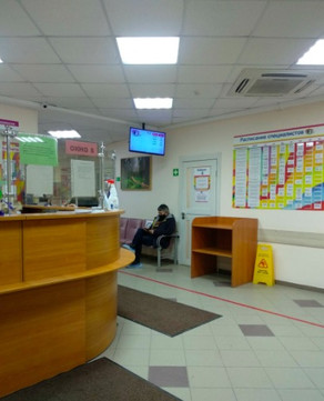 Айболит на Победы, фото №1