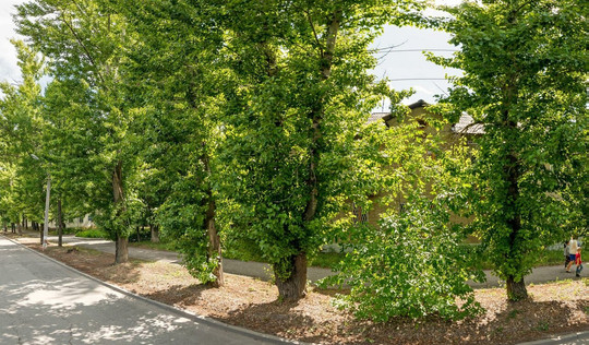 Семь плюс на Доватора, фото №1