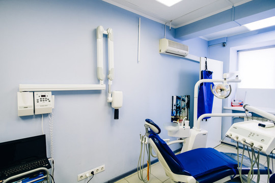 Жемчужный слон на Масленникова, фото №1