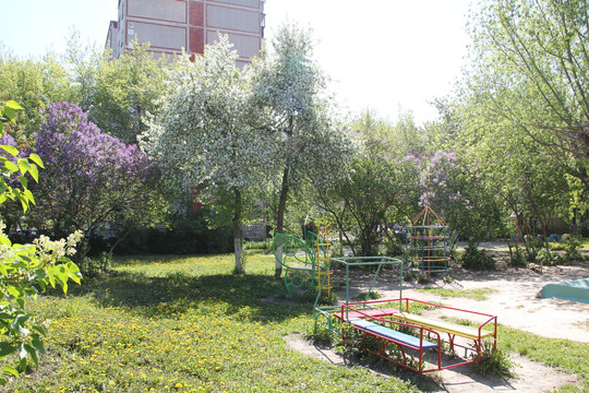 Детский санаторий №6 на Дзержинского, фото №1