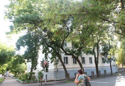 Великолукский детский санаторий на Некрасова, фото №1