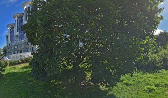 Гауди на Право-Лыбедской, фото №1