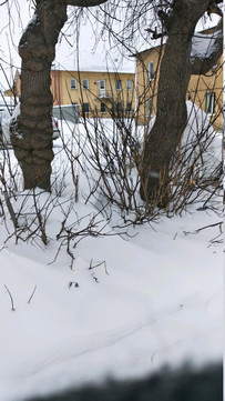 Кожно-венерологический диспансер на Громовой, фото №1