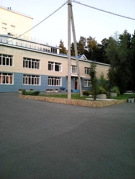 Госпиталь для ветеранов войн на Змеиногорском тракте, фото №1