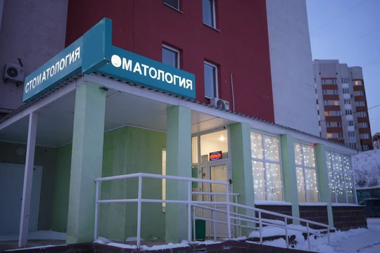 Дельфин на Зайнаб Биишевой, фото №1