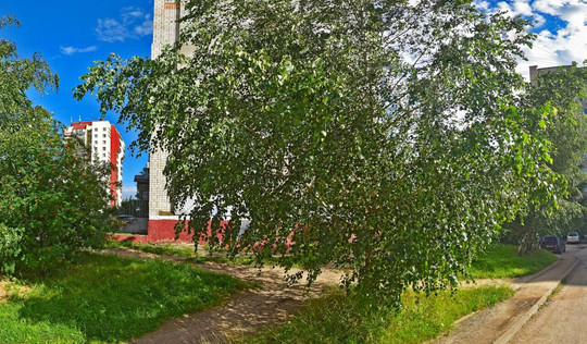 Базис на Рыленкова, фото №1