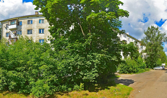 Женская консультация №3 на Войкова, фото №1