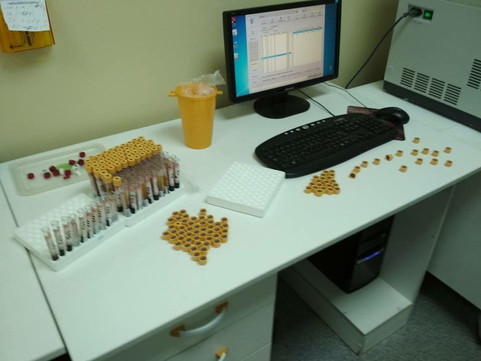 Гладент-Эксперт на Гагарина, фото №1