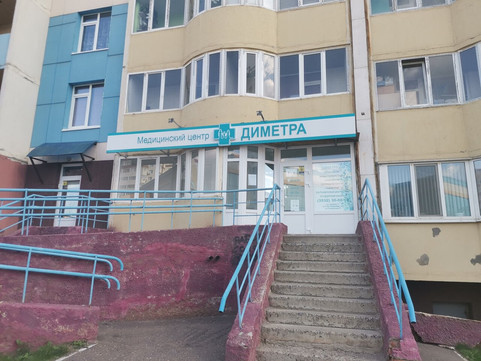 Диметра на Салмышской, фото №1