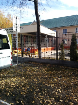 Подсолнух на Герасимова, фото №1